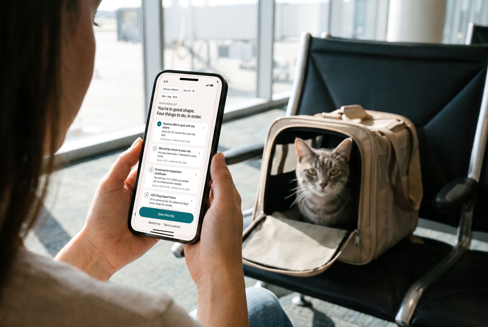 Hands hold a phone with the checklist at an airport gate, a grey tabby cat looking out of an open carrier on the seat